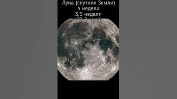 Сколько длится год на разных планетах, Солнце и Луне