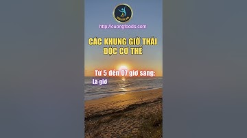 CÁC KHUNG GIỜ THẢI ĐỘC CƠ THỂ