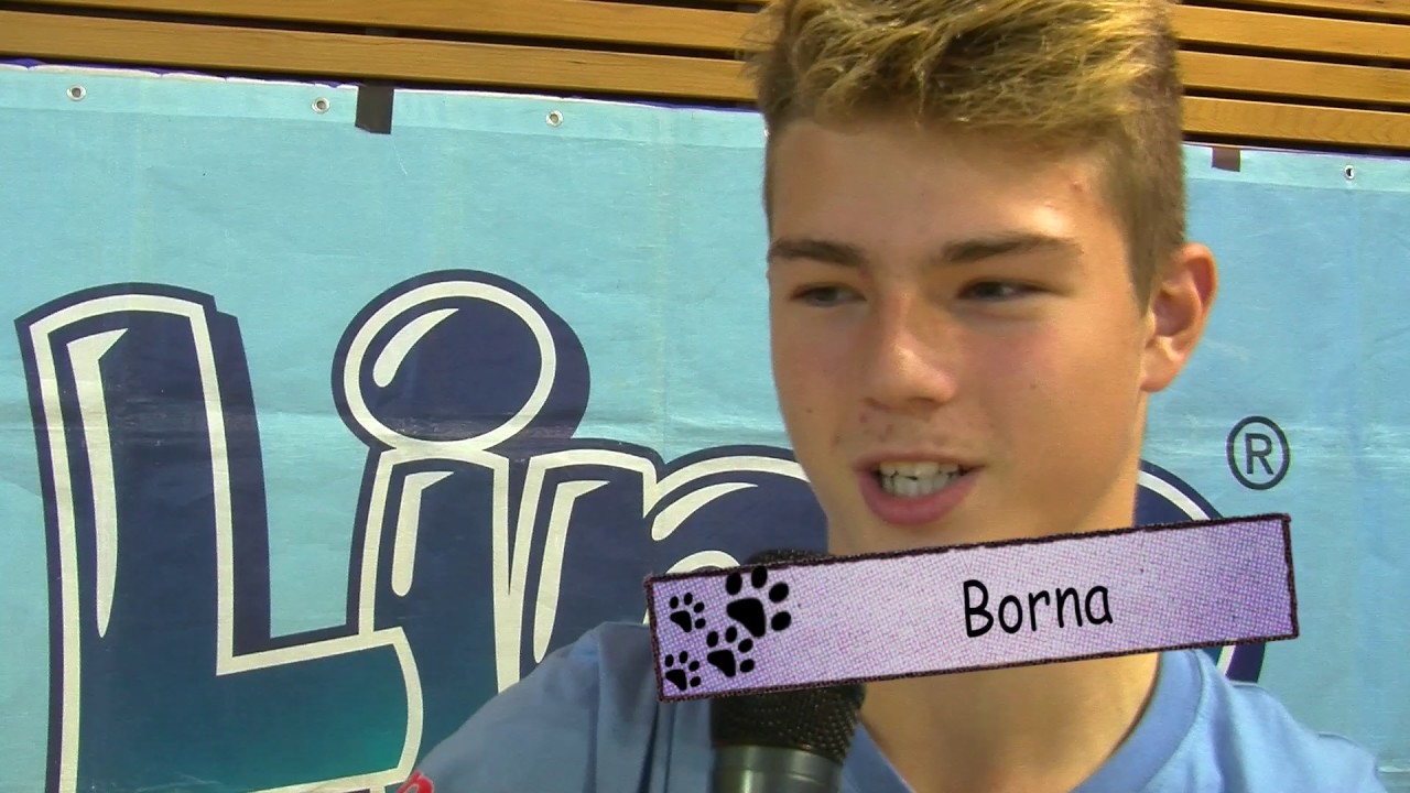 Lino Višebojac Pazin