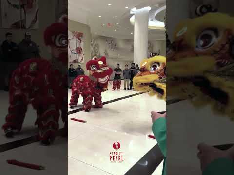 Bonus win on lobstermania at the Mardi Gras hotel & casino