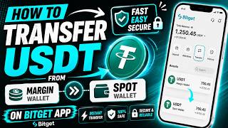 how to transfer margin to spot bitget