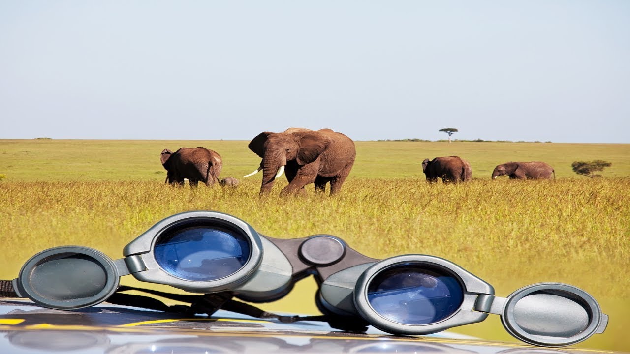Best Binoculars For Safari Reviews [Latest Updated] YouTube