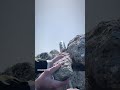 هكذا يضرب الفلسطينيون قنابل الغاز على جنود الإحتلال في جبل صبيح نابلس