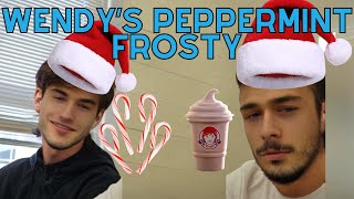 Фото Wendy's Peppermint Frosty (Noob Reviewere's 12 Days Of Christmasy Reviews)