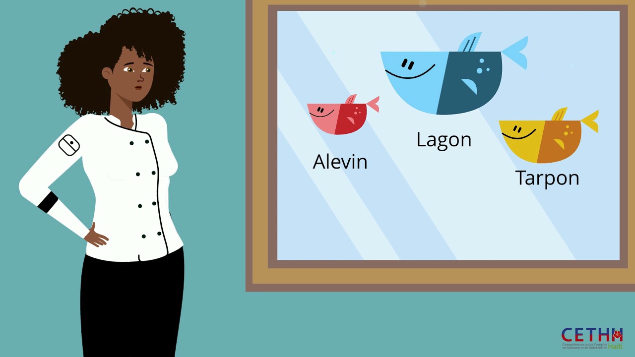 La taxonomie de Bloom en formation professionnelle et technique (Approche par compétences)