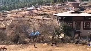 Bhutan-Paro Valley 4/4 Final