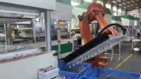 Fully Automatic Pulp Molding Sugarcane Bagasse Tableware Machines SD-P09 With Robot Hand!