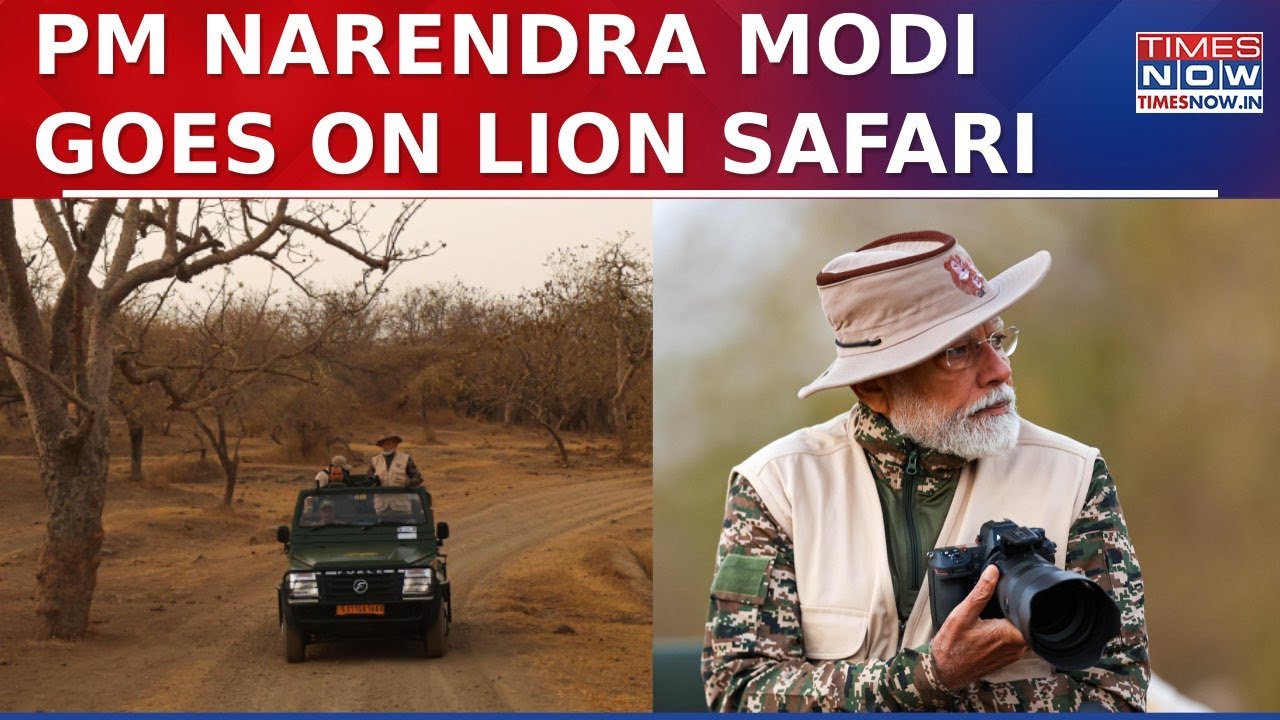 PM Narendra Modi Goes On Lion Safari At Sasna Gir In Gujarat ...