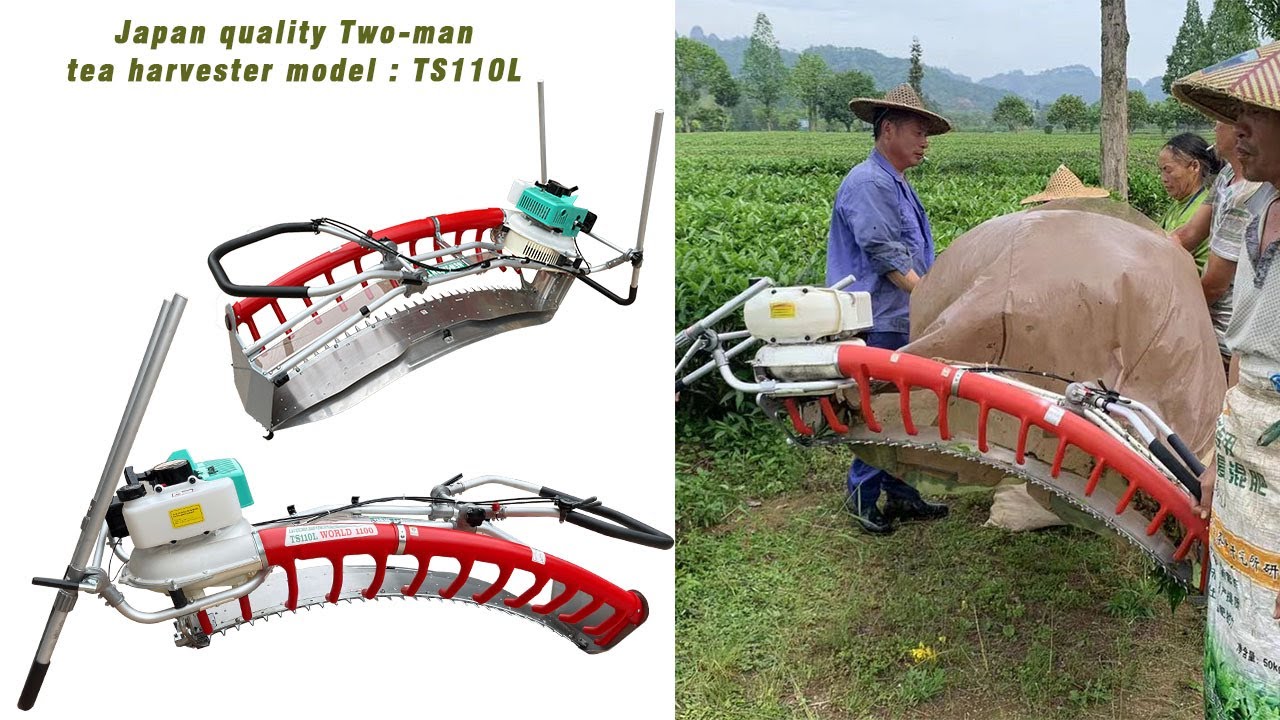 Japan quality Two-man tea harvester model : TS110L