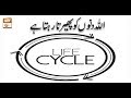 Watch Hikmat-e-Quran - 8th December 2018 - ARY Qtv Online In HD