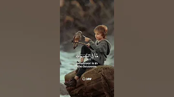 و س خ ر ل ك م م ا ف ي الس م او ات و م ا ف ي ال أ ر ض ج م يع ا م ن ه 