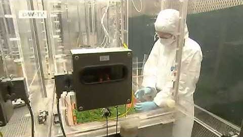 Counting Pollen - Scientists Combat Allergies | Tomorrow Today