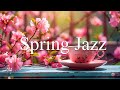 Атмосфера весеннего джаза в кофейне ☕ Фортепианная джазовая музыка для работы, учебы #16