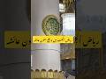 The Pillar Of Hazrat Ayesha RA In Riaz Ul Jannat Umaisavlogs Religion Travel