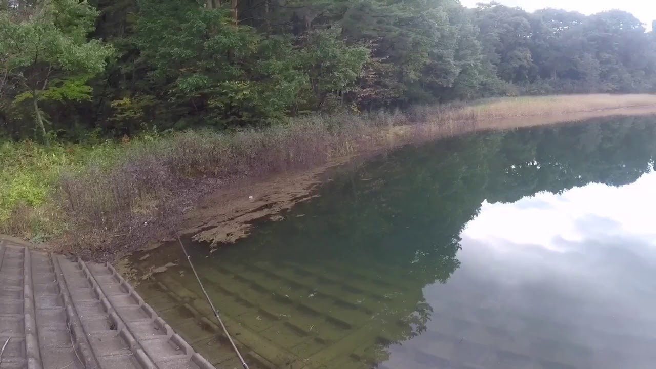 福島県二本松市でバス釣りしてきました Youtube