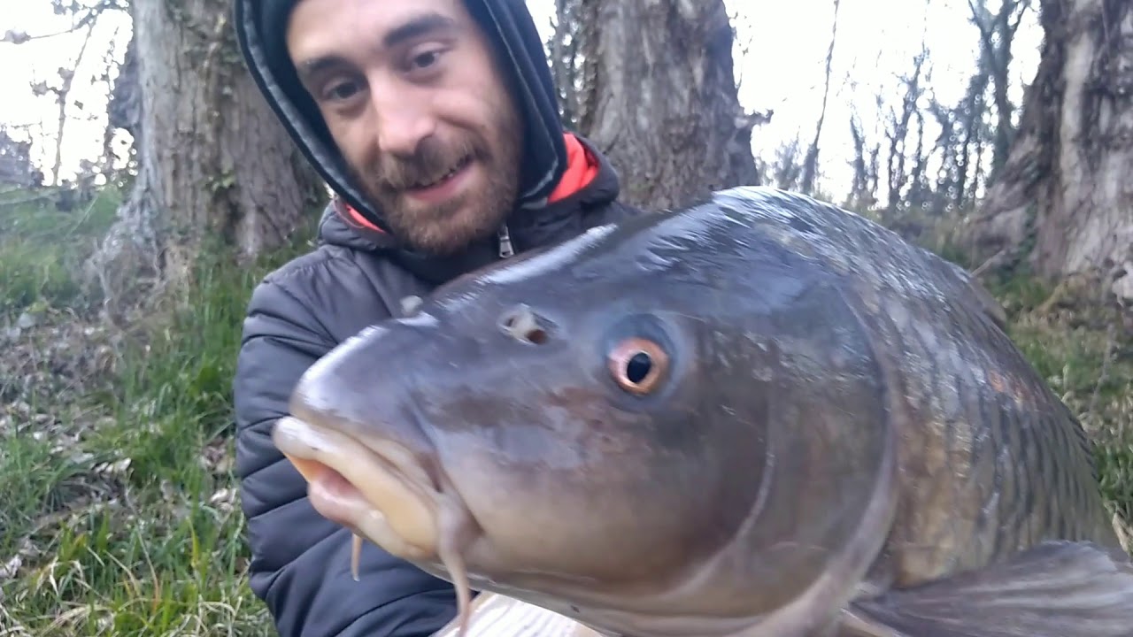 Session rapide carpe 3 (winter edition)