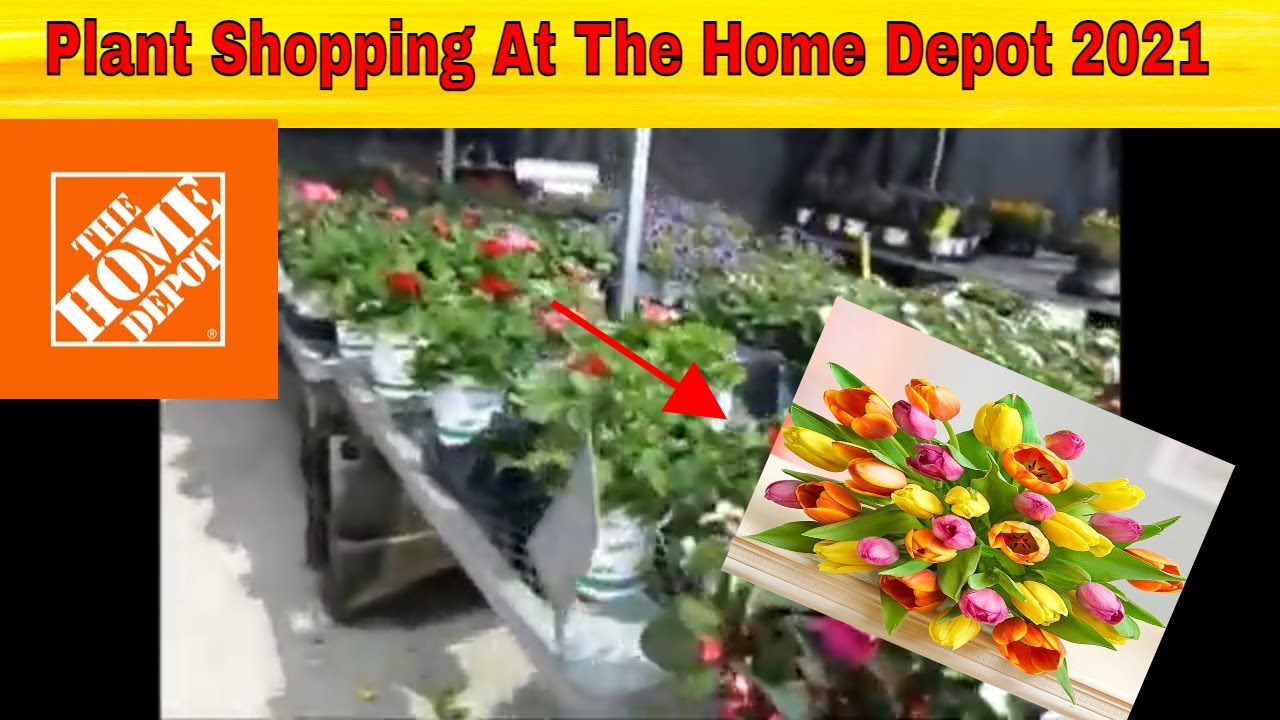 Plant Shopping at Home Depot Spring time 2021 YouTube