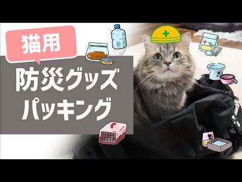 【猫の防災】基本の防災グッズパッキング！　いつか来る災害に備える猫用避難グッズを実際に準備してみた！