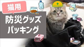 【猫の防災】基本の防災グッズパッキング　いつか来る災害に備える猫用避難グッズを実際に準備してみた