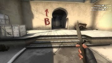 [CS:GO] One bullet...double kill (Rico)