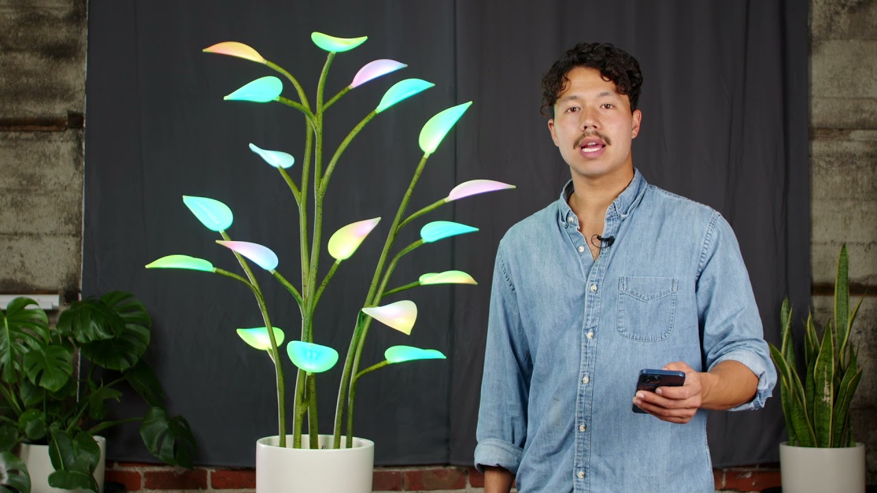 Fluora: Mobile App Overview