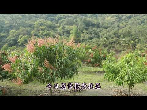 讚美詩_360 你心可有住處為主