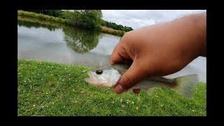 كاستنج سريع ( لفاح )  وصيد السمك الصغير small bass fishing cast