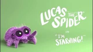 Lucas The Spider Is Starving Sponsored By Klasky Csupo 2001 Effects