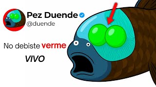 Por qué es HORRIBLE haber NACIDO como PEZ DUENDE