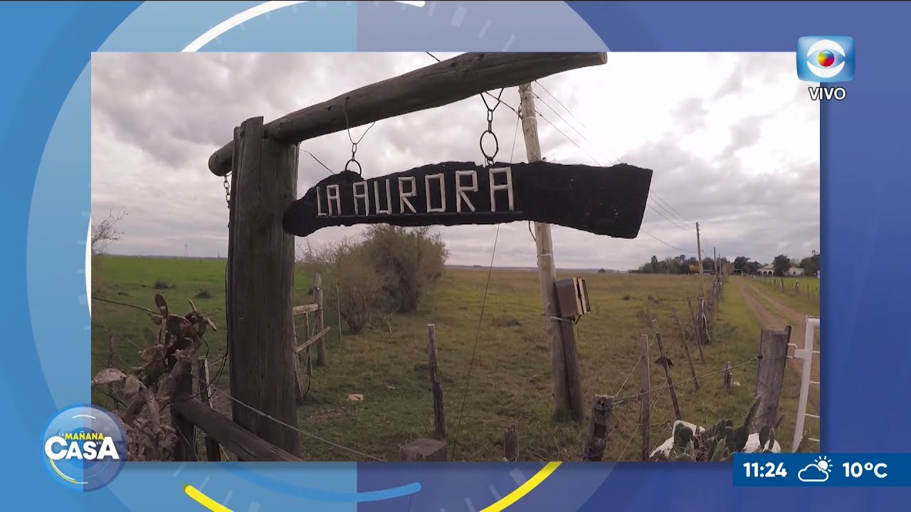 Turismo OVNI en La Aurora