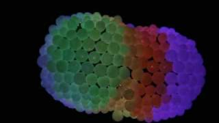 Phish - The Borealis - Festival 8 - Indio, CA - 10/30/2009 - James Bond 007 Theme Song - Burple