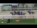 2024 Vosburgh Stakes - Mufasa