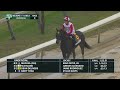 2024 Vosburgh Stakes - Mufasa
