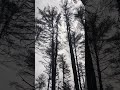 winter shower