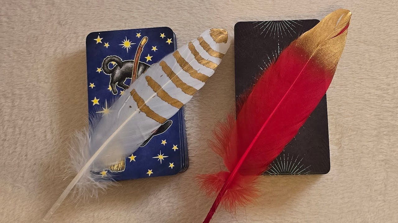 💫🦋¿HAY FUTURO REAL ENTRE VOSOTR@S?🦋💫Tarot interactivo 