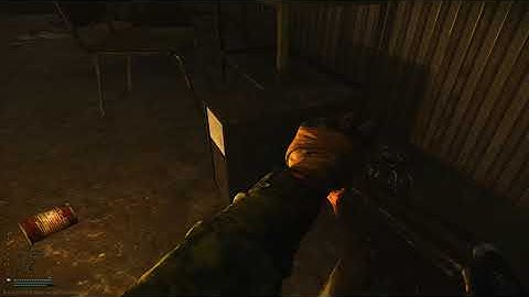 Escape From Tarkov 2 graphics Cards in 1 PC Customs GPU