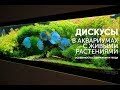 Дискусы в аквариумах с живыми растениями.