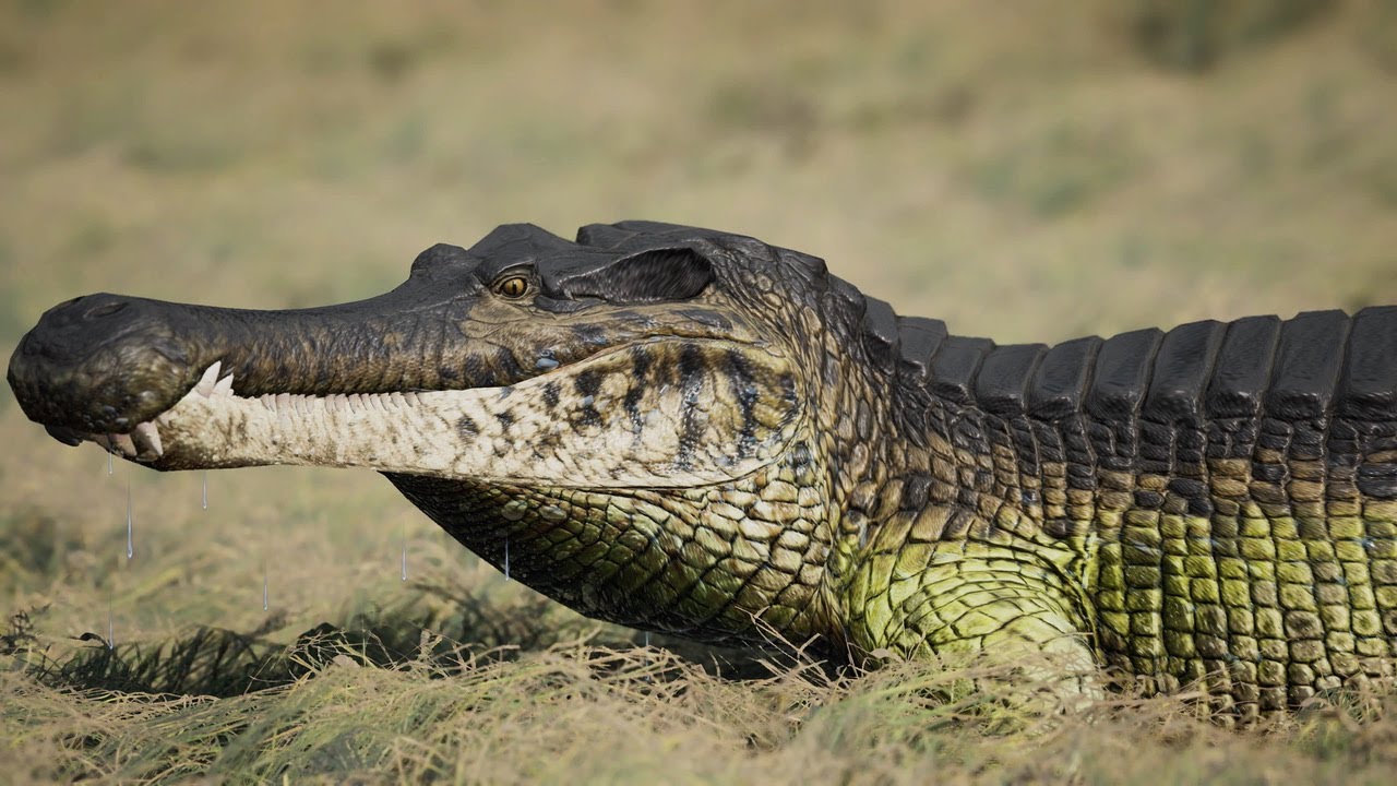 I Played The Sarco TLC And This Is What Happened...