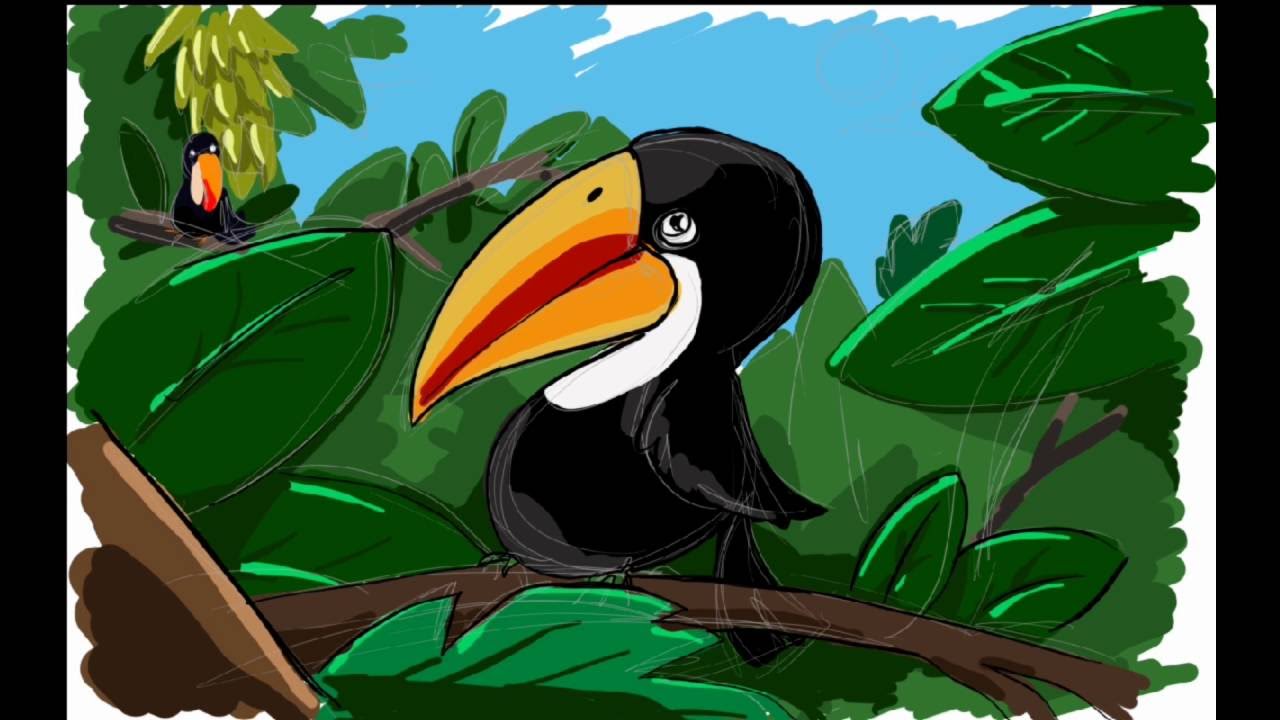 Disegnare Tucano video per bambini
