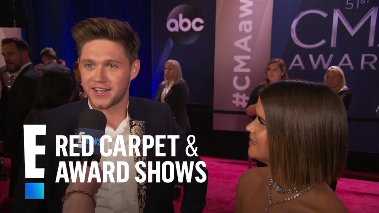 Niall Horan Clears Up Rap Battle With Louis Tomlinson | E! Red Carpet & Award Shows
