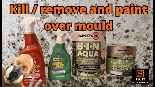 How to paint over mould and mildew  guaranteed results!