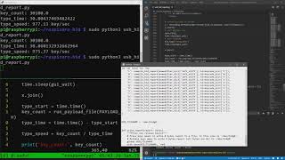Keystroke injection with Raspberry Pi Zero