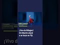 ¡Vivo de Milagro! Un Tiburón Atacó a un Buzo en Fiji