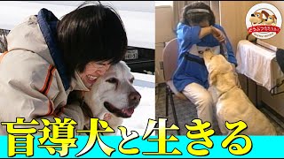 【盲導犬と生きる人たちの物語】困難と挑戦、そして涙…『どうぶつ奇想天外』が追いかけた"出会いと別れ"のドラマ【どうぶつ奇想天外／WAKUWAKU】