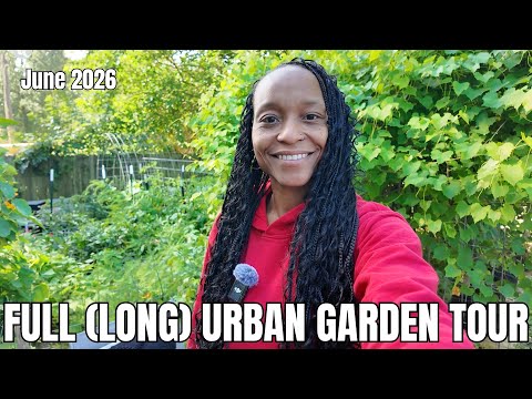 Full Urban Backyard Garden Tour | June 2026 | Virginia, Zone 7B