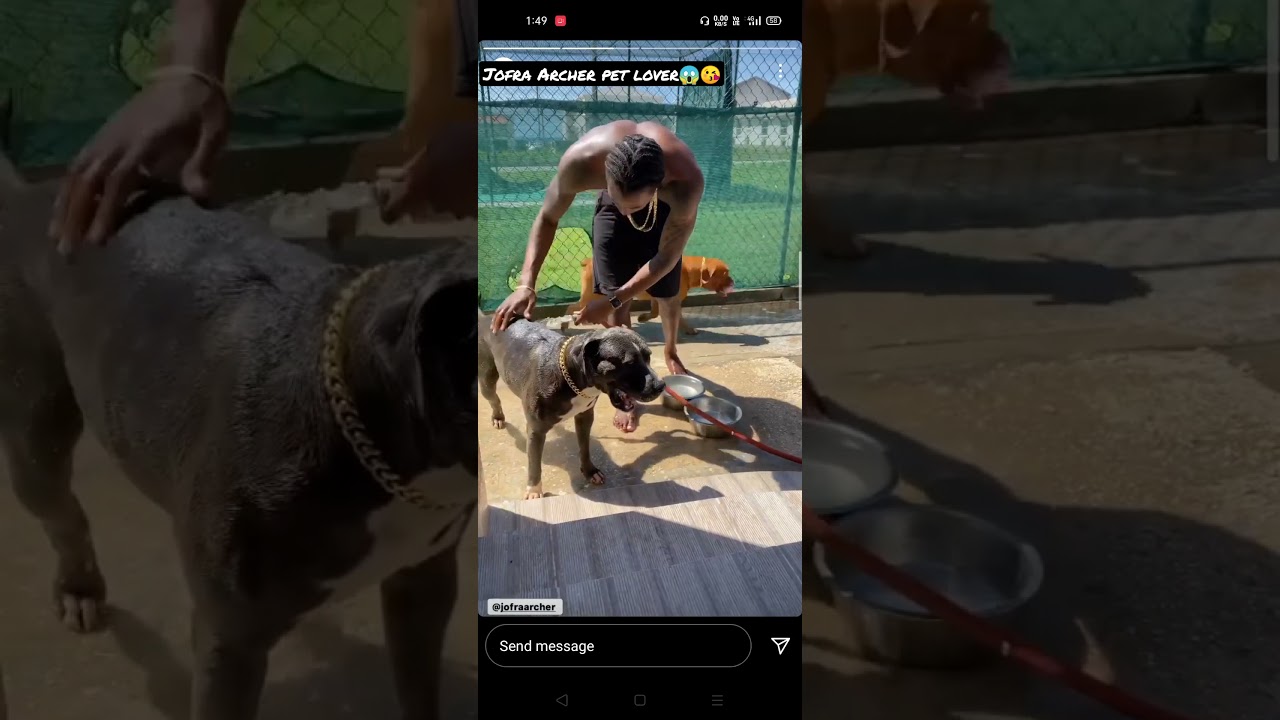 Jofra Archer pet lover😱😘|| Jofra Archer || 