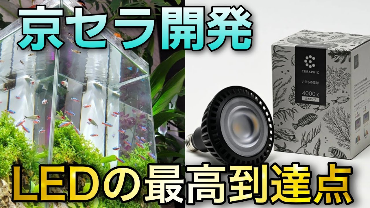 The pinnacle of LED light bulbs! The 