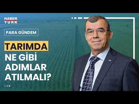 ผลสลากกินแบ่งรัฐบาล วันที่ 1 พย. 2567