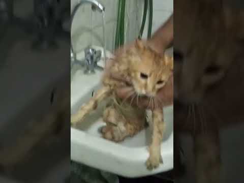 وانا بستحمه وبعد مستحميت في الح٠٠٠٠٠مام 