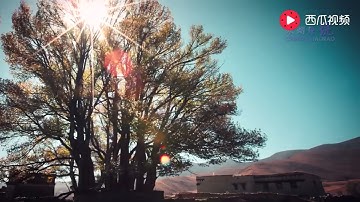 《梦乡》马亚维